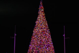 national harbor