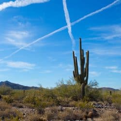 Things to do in Scottsdale, AZ
