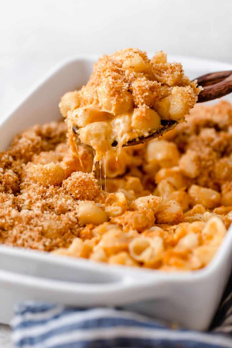 This mac and cheese recipe has a bit of a kick to it and it's the perfect weeknight comfort meal when you are craving pasta and cheese!