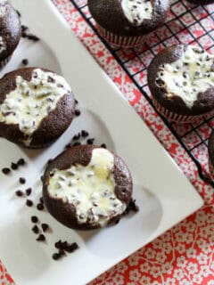 chocolate cream cheese cupcakes