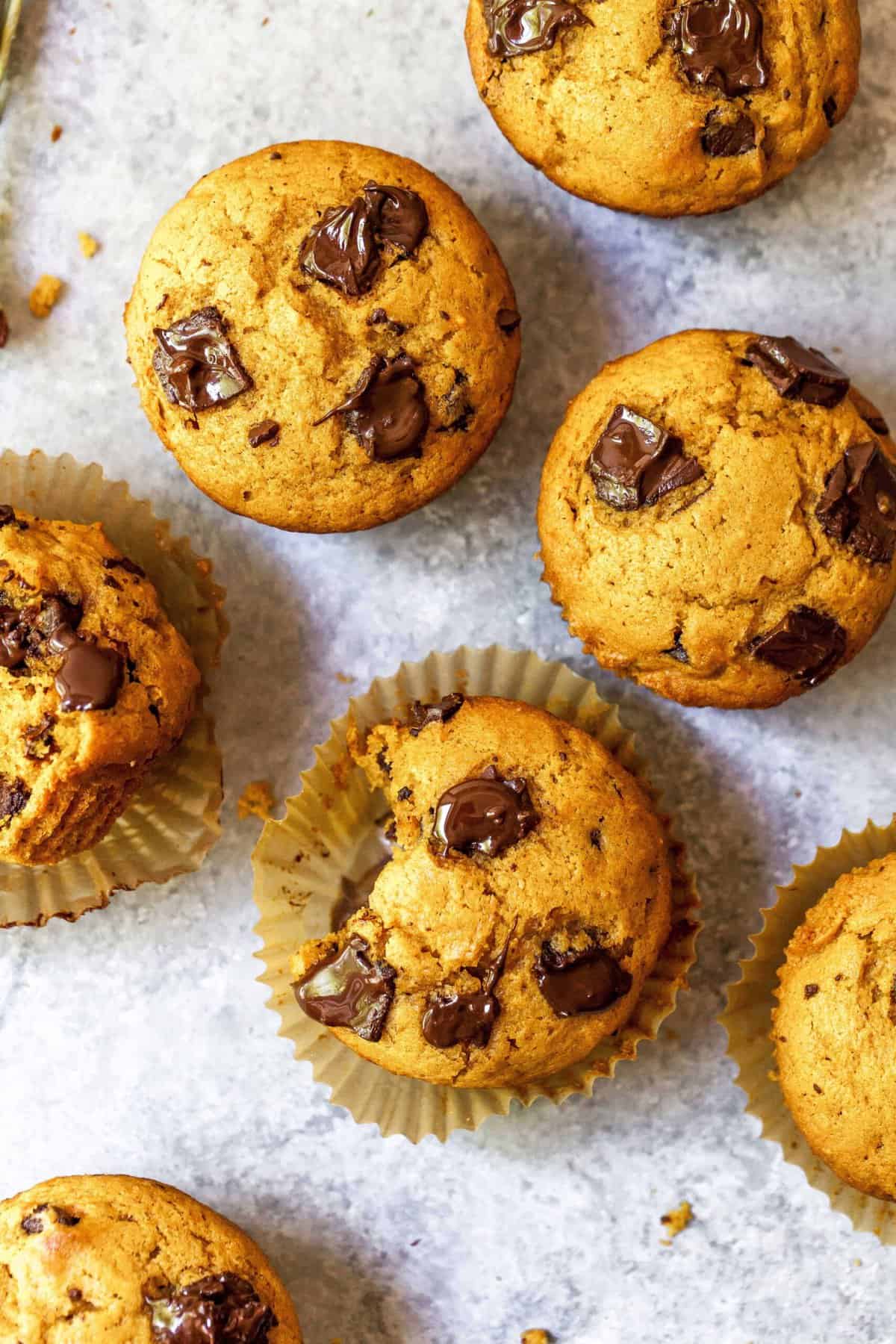 Overhead shot of pumpkin spice chocolate chunk muffins, with bite taken out of one