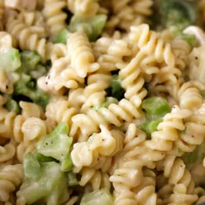 An alternative to the classic chicken and broccoli alfredo! This lightened up version is just as creamy and delicious as the classic version! You won't be able to tell the difference and you'll get an extra bite or two without feeling too guilty!