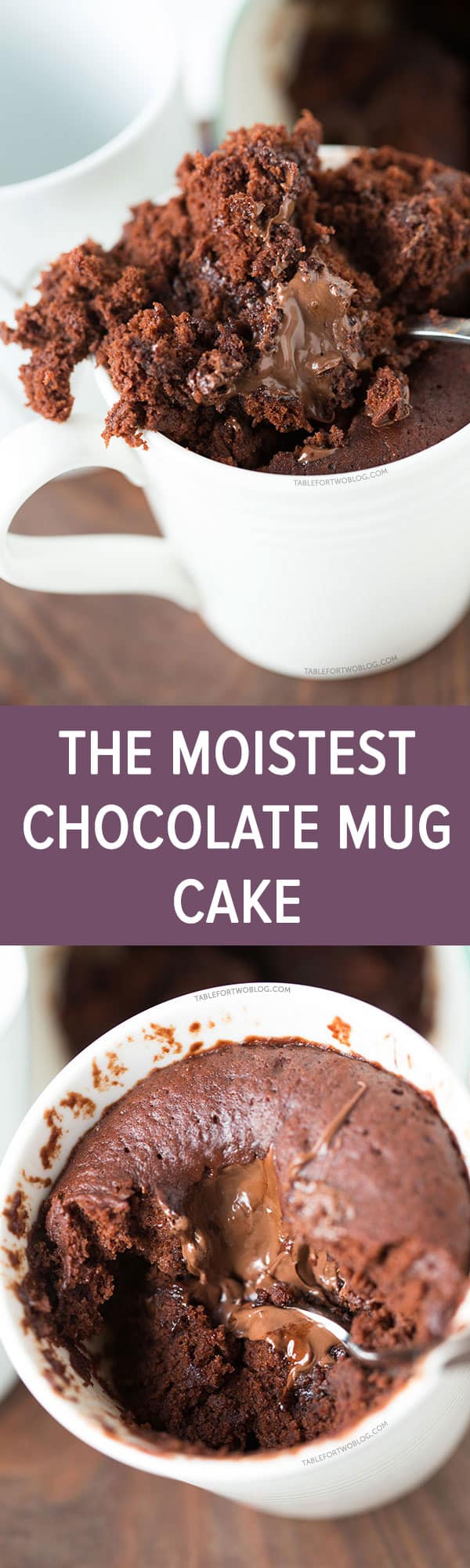 The Moistest Chocolate Mug Cake - For One or Two - No Egg!