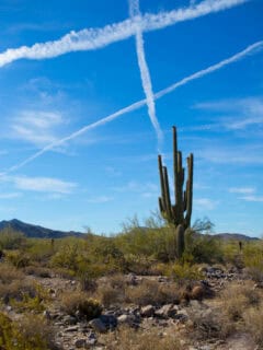 Things to do in Scottsdale, AZ