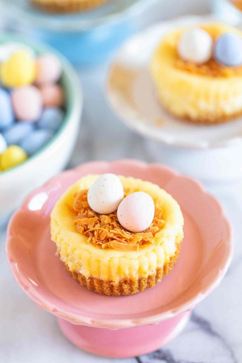 Mini Cheesecake Nests - Cute Easter Recipe Idea for Kids and Adults