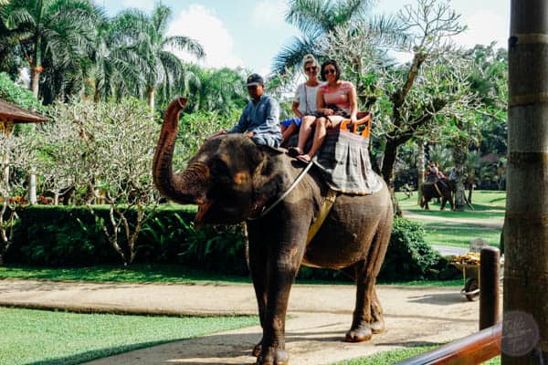 The Elephant Safari Park Lodge is one place to not be missed during your trip to Bali, Indonesia! It is an experience of a lifetime and you will go home with a deeper love for these gentle giants. Full review on tablefortwoblog.com!