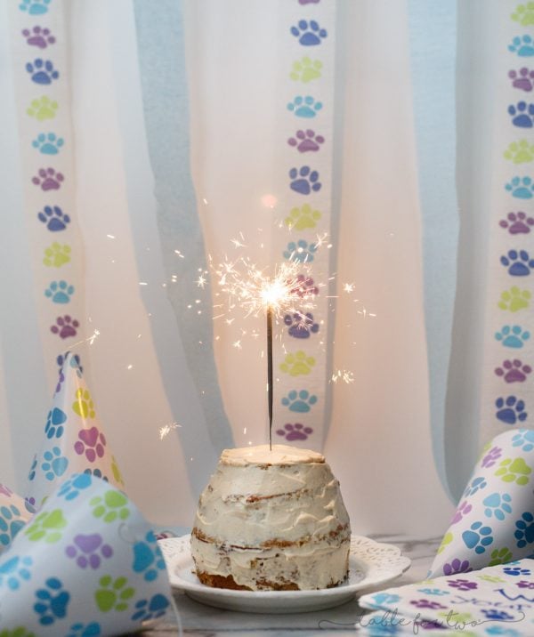 Make a grain-free dog cake for your furry family member!