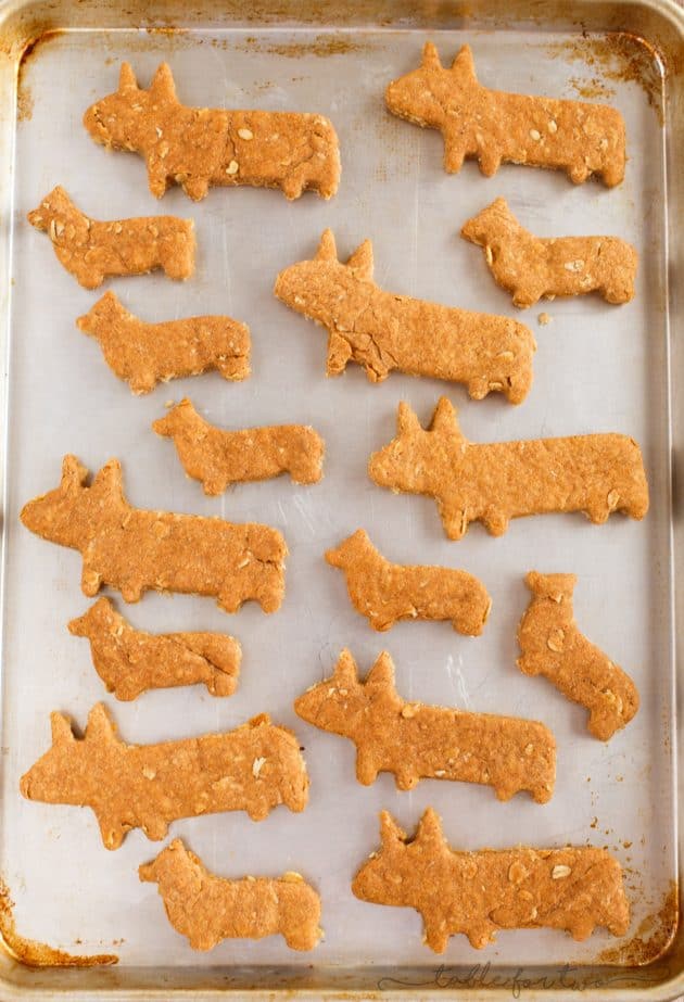 Corgi Dog Biscuit Treats - Homemade Dog Biscuits and Treats
