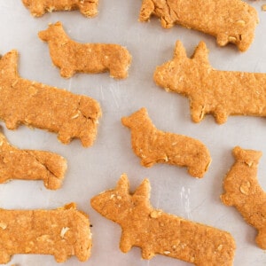 The cutest dog biscuit treats for your furry friend!!