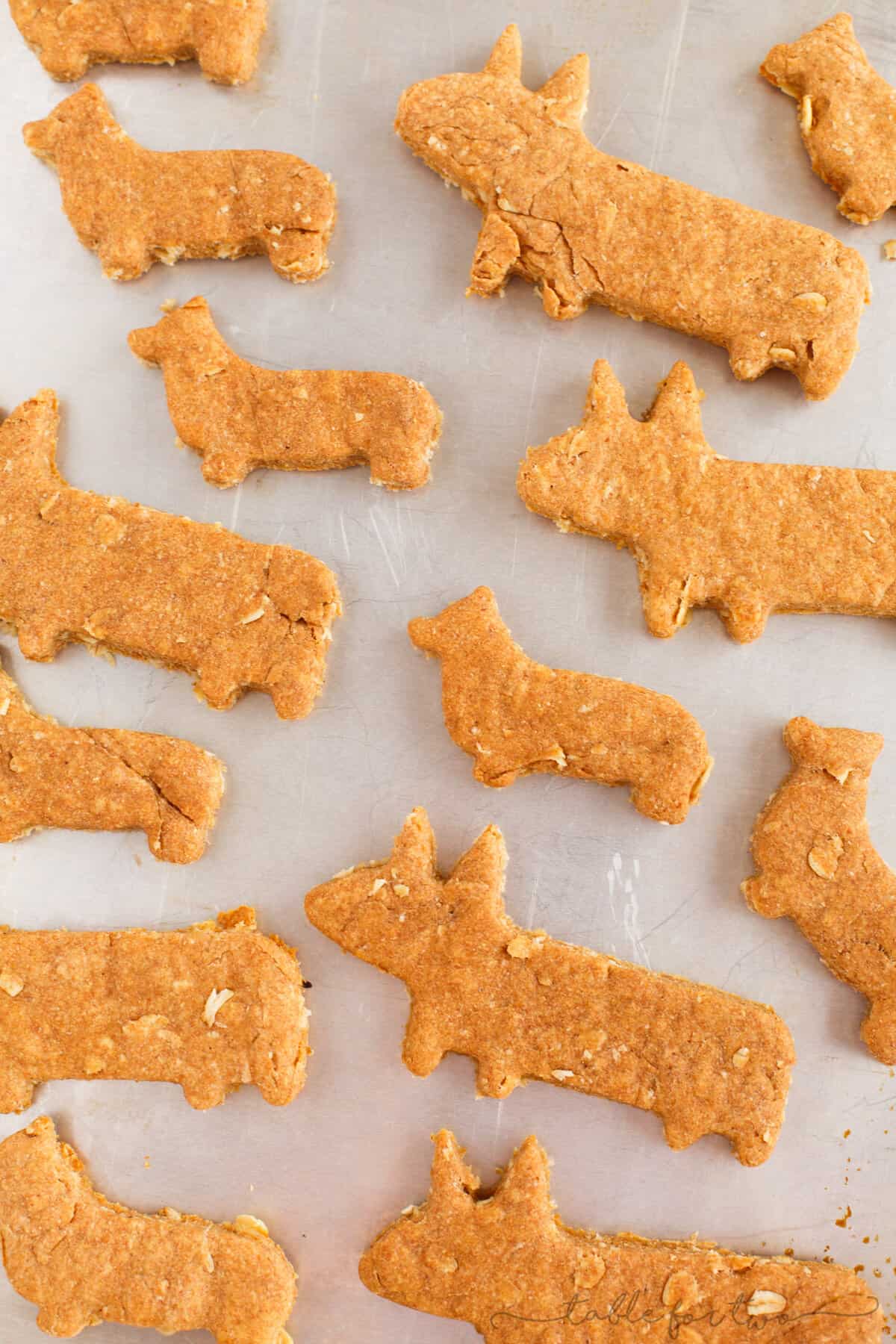 The cutest dog biscuit treats for your furry friend!!