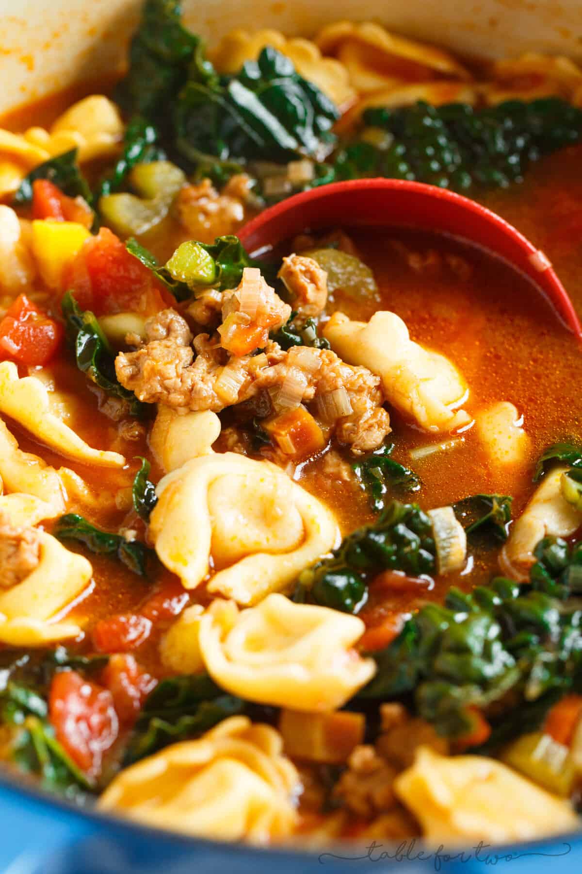 This spicy sausage and vegetable tortellini soup is exactly what you need when cold weather hits! Chock-full of veggies and cheesy tortellini; this soup will warm you right up! #HuntsDifference #ad