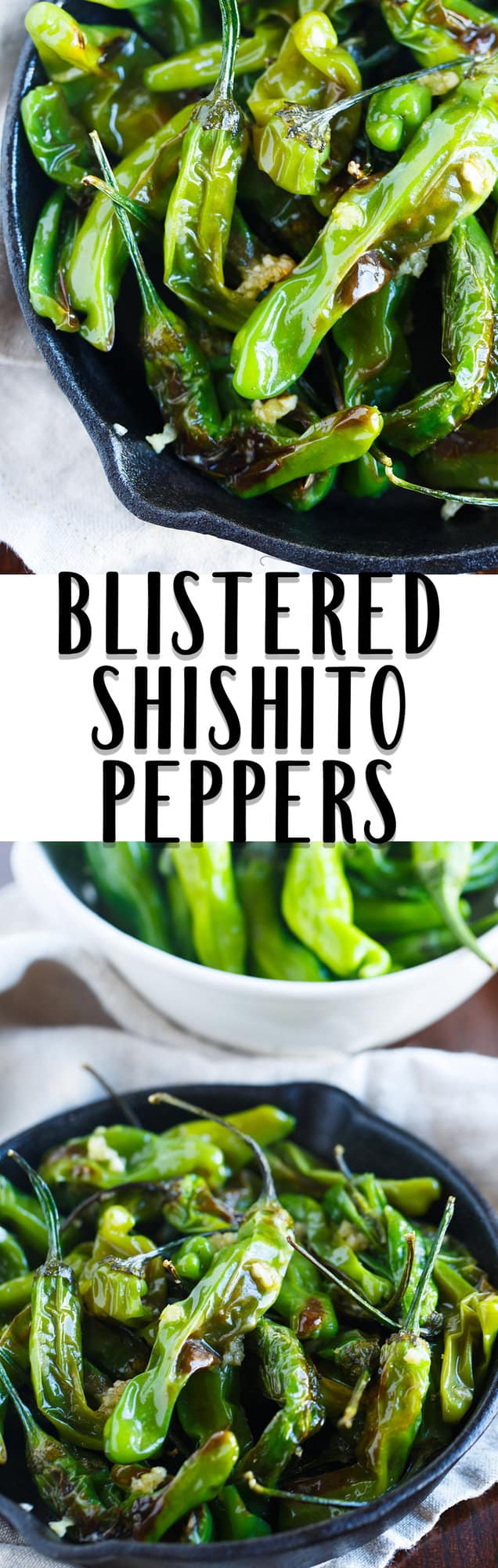Blistered shishito peppers tossed in garlic and olive oil make for a great snack if you're feeling a little heat!