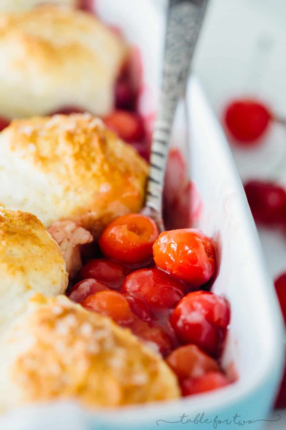 It could not be easier to make a classic sour cherry cobbler right in your own home. Using the seasonal and fresh cherries, this classic sour cherry cobbler comes together quickly and easily! Use any seasonal fruit in this recipe and top with a giant scoop of ice cream for the ultimate dessert!