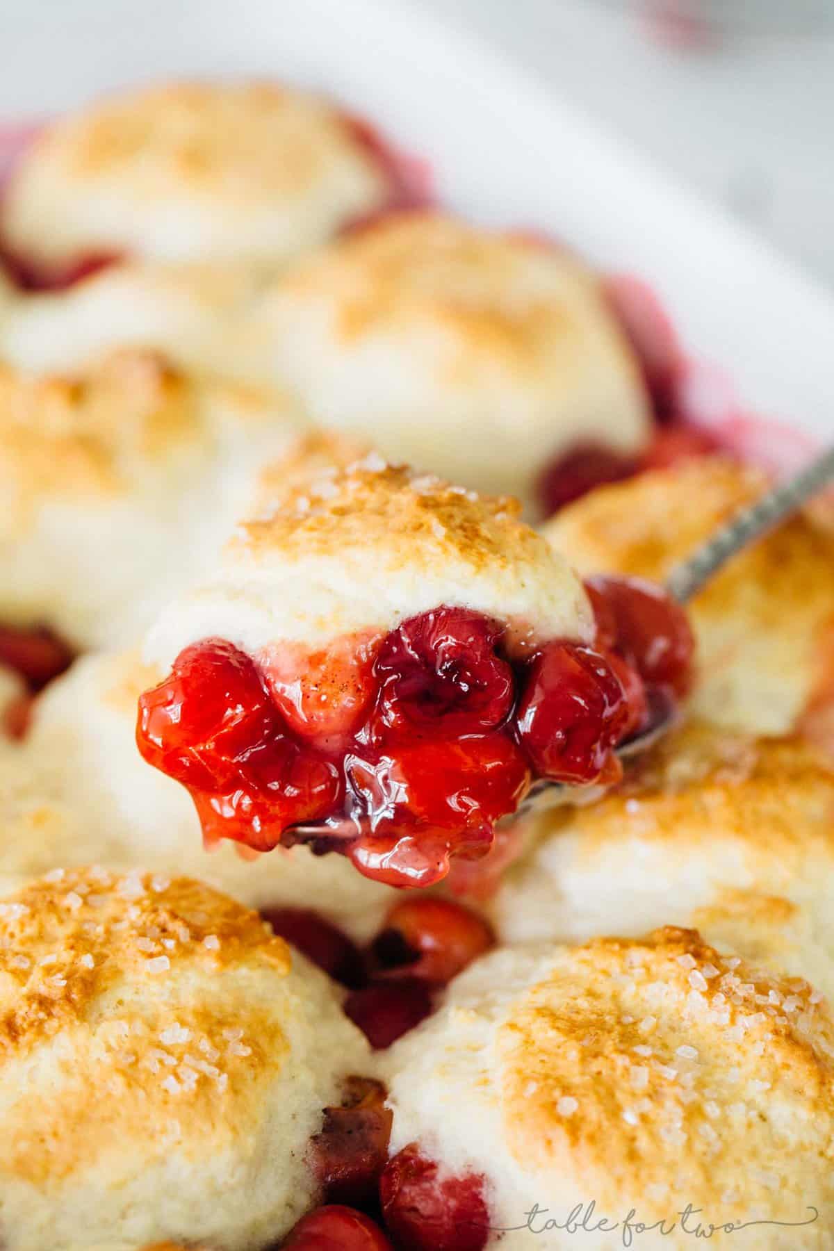 It could not be easier to make a classic sour cherry cobbler right in your own home. Using the seasonal and fresh cherries, this classic sour cherry cobbler comes together quickly and easily! Use any seasonal fruit in this recipe and top with a giant scoop of ice cream for the ultimate dessert!