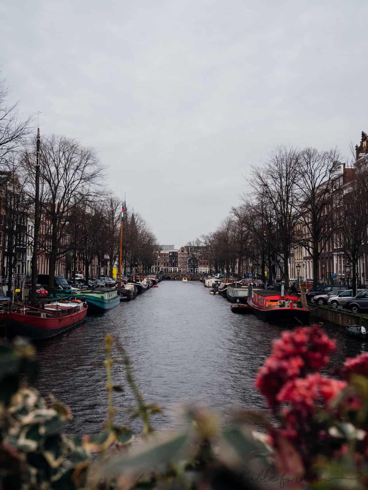 Amsterdam and its iconic row houses and canals!