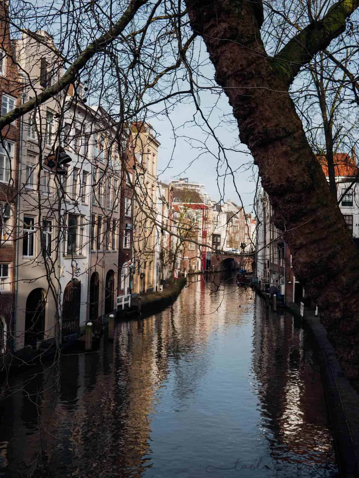 Utrecht, Netherlands is a quaint little scenic city 15 minutes, by train, outside of Amsterdam. It is so scenic and has the cutest cafes. Definitely worth a day trip especially since it's a 15 minute train ride!