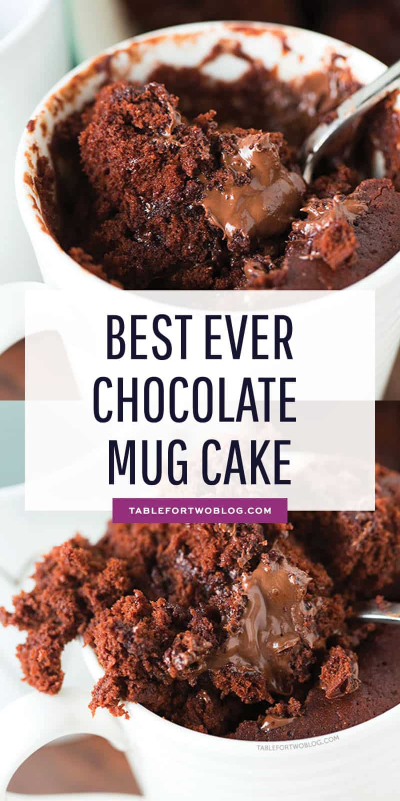 The Moistest Chocolate Mug Cake - Mug Cake For One or Two - No Eggs!