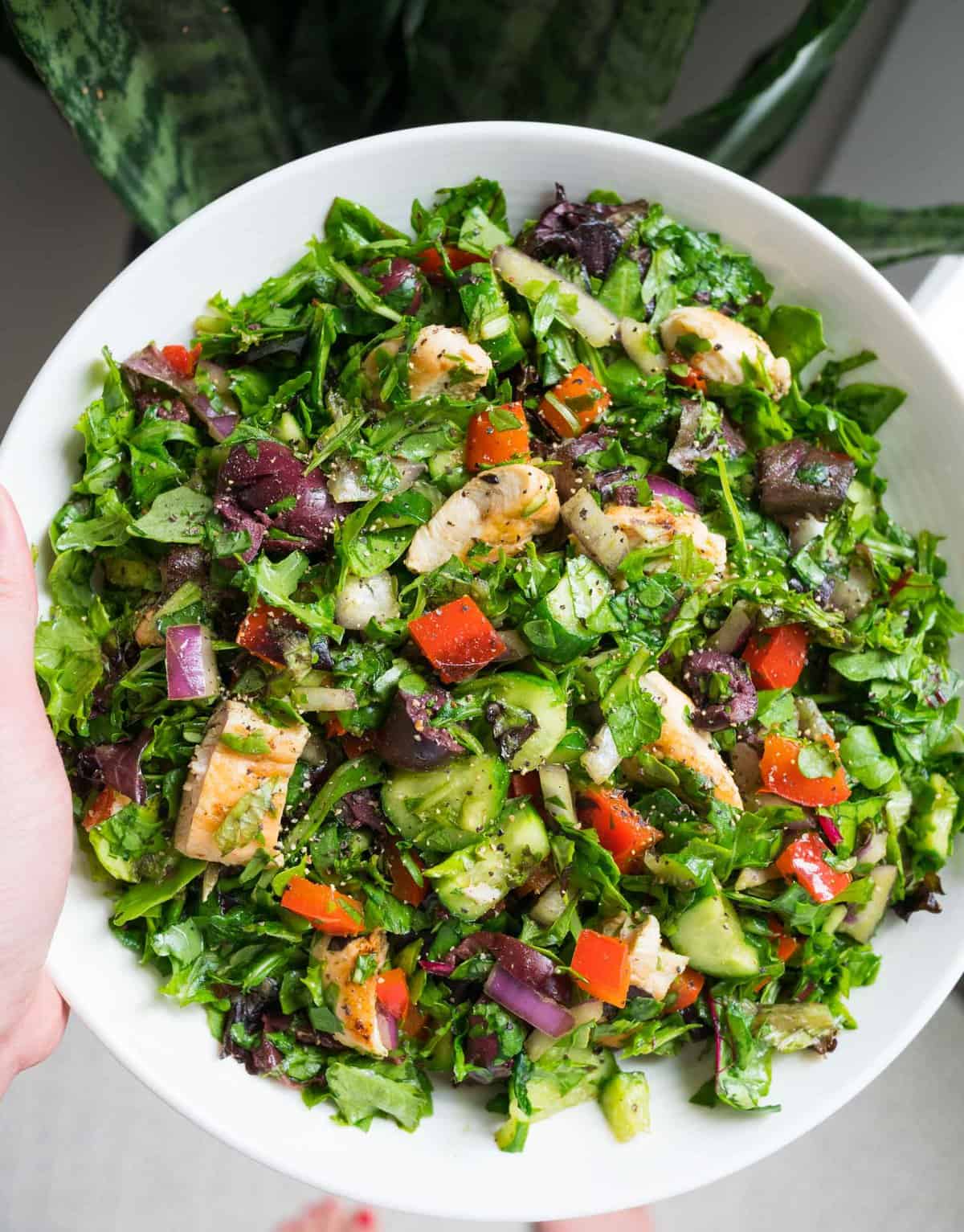 A quick basic chopped salad that is a starting base for whatever salad creations you may think of! #salad #choppedsalad #quicksalad #easysalad #saladrecipe A quick basic chopped salad that is a starting base for whatever salad creations you may think of!