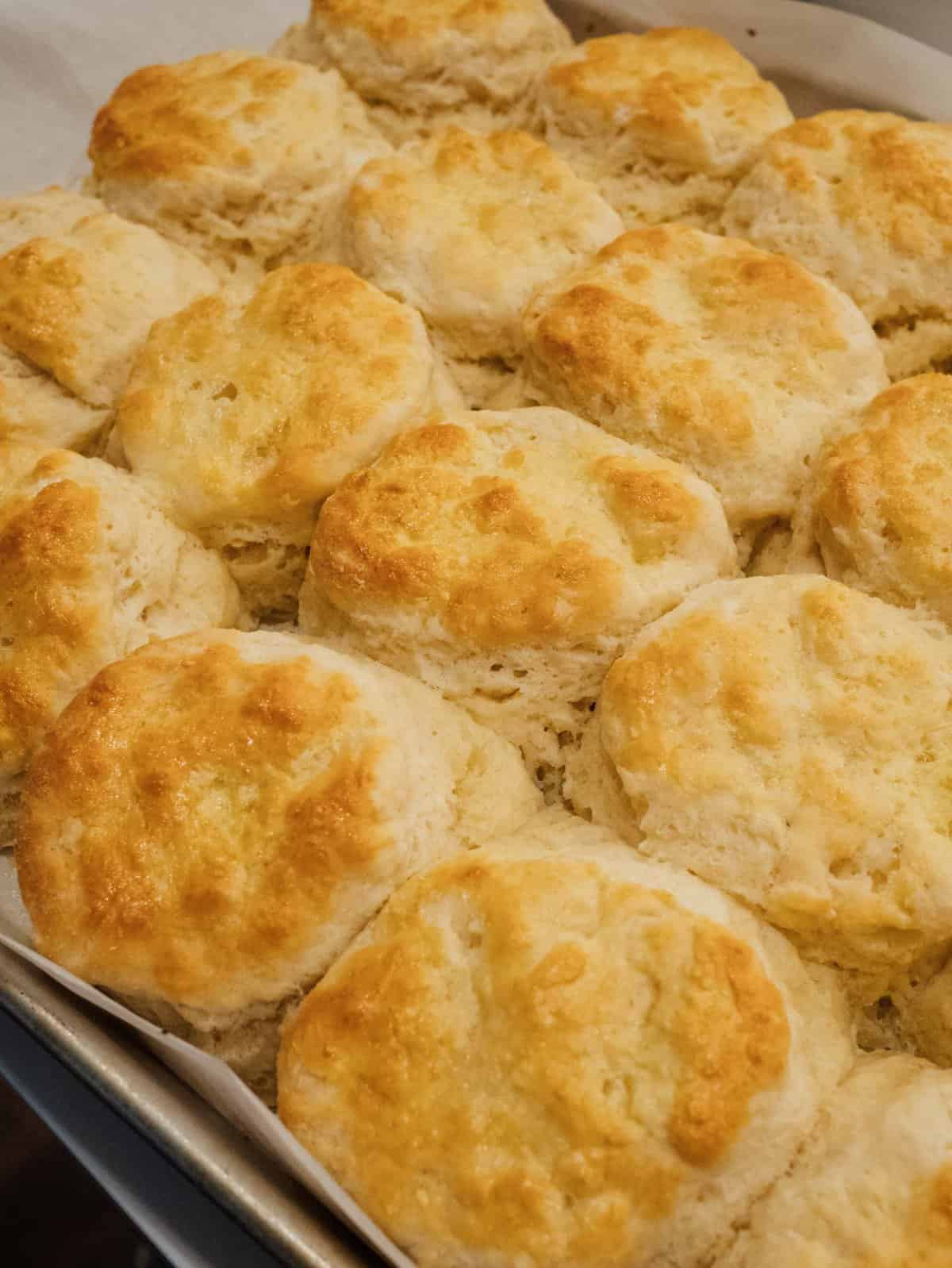 You'll want these biscuits on your breakfast table! They're so fluffy, buttery, and incredibly tender. You won't be able to just eat one! #biscuits #breakfast #breakfastrecipes