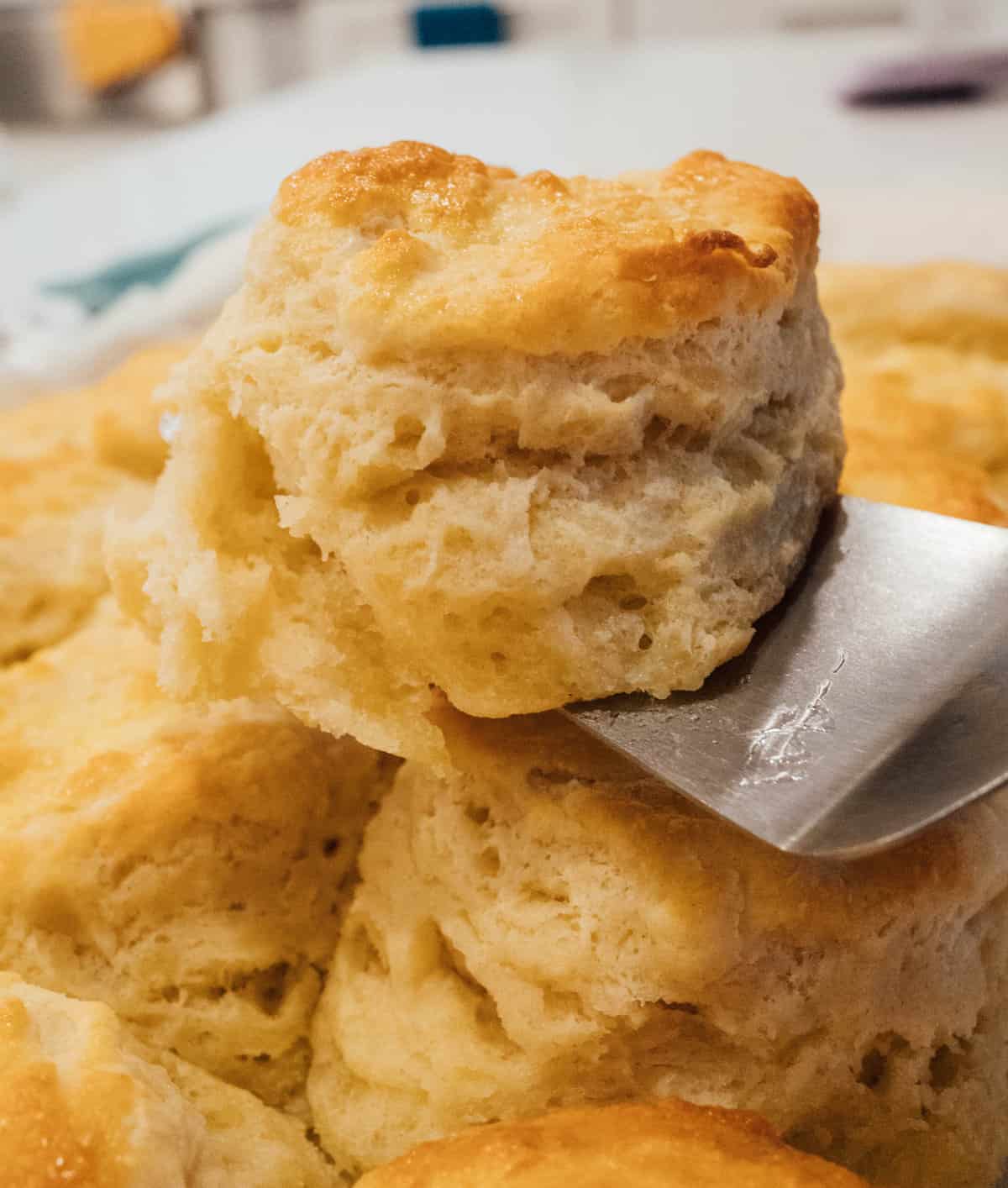 You'll want these biscuits on your breakfast table! They're so fluffy, buttery, and incredibly tender. You won't be able to just eat one! #biscuits #breakfast #breakfastrecipes