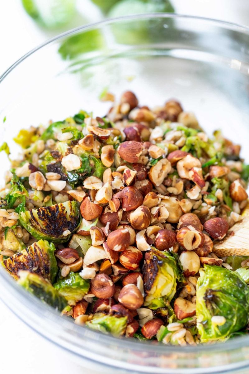 The perfect springtime salad! This warm roasted brussels sprouts salad with farro is tossed in a delicious Dijon shallot dressing that is flavorful and a delight! The hazelnuts give this salad that extra crunch and texture!