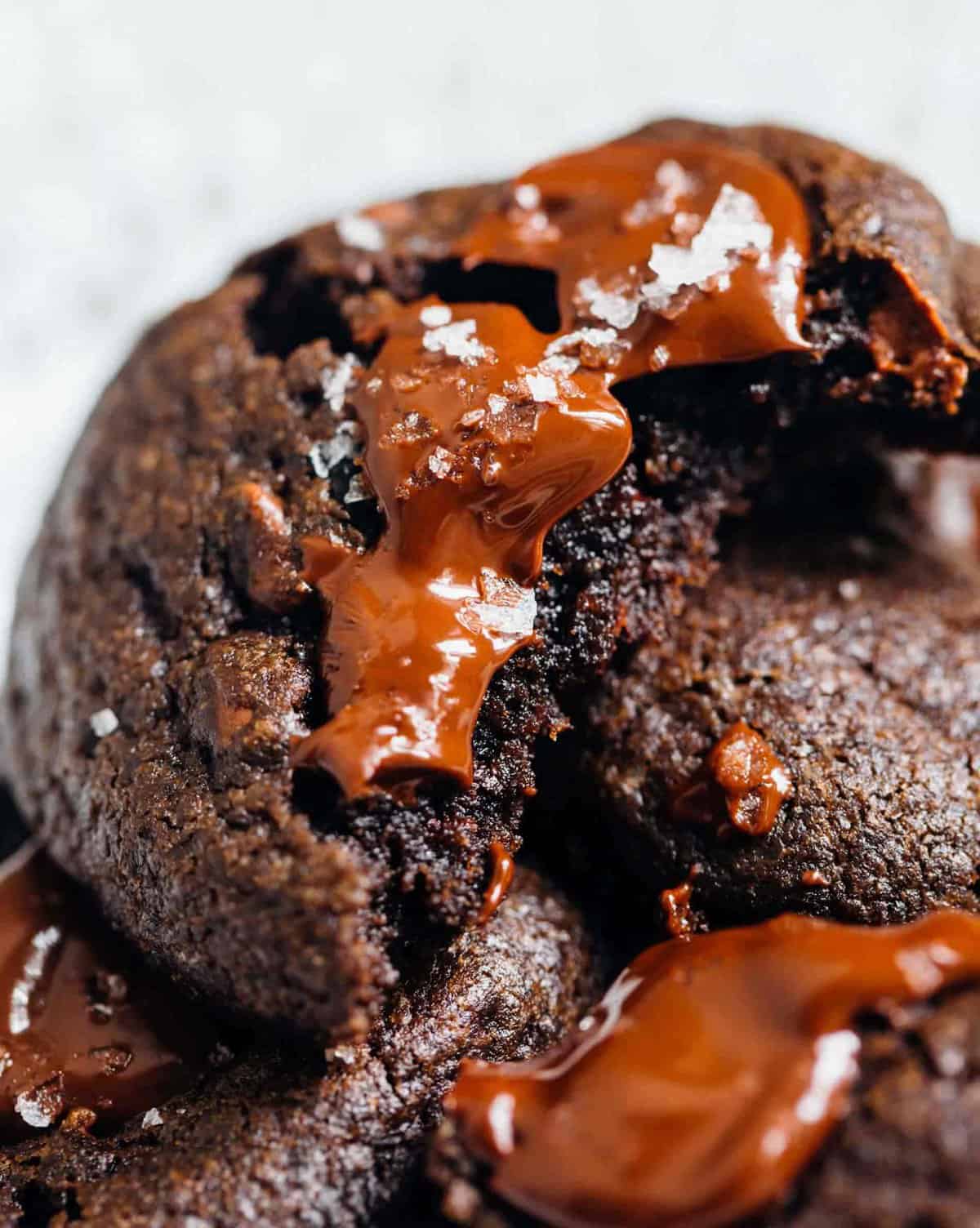 Dark Chocolate and Cherry Cookies Dark Chocolate and Cherry Recipe