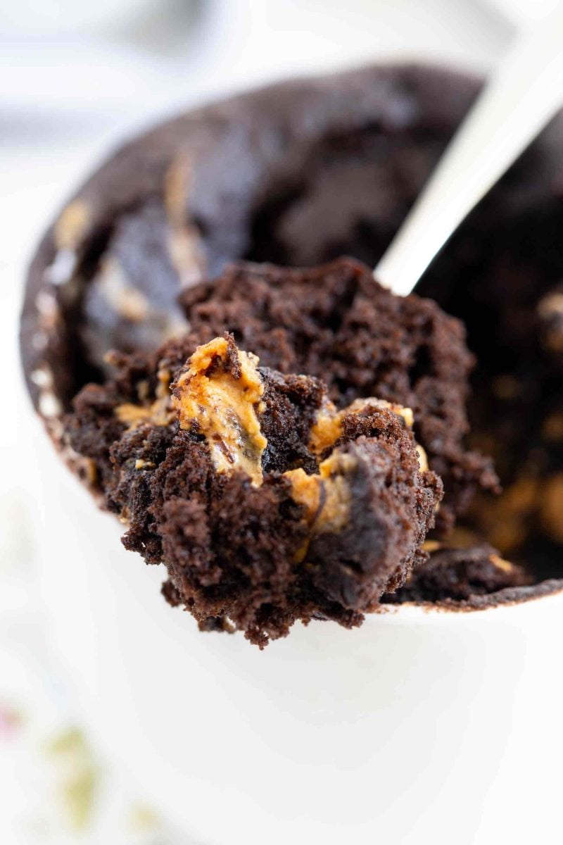 If you love peanut butter and chocolate and love the ease of mug cakes then this peanut butter chocolate mug cake is for you!