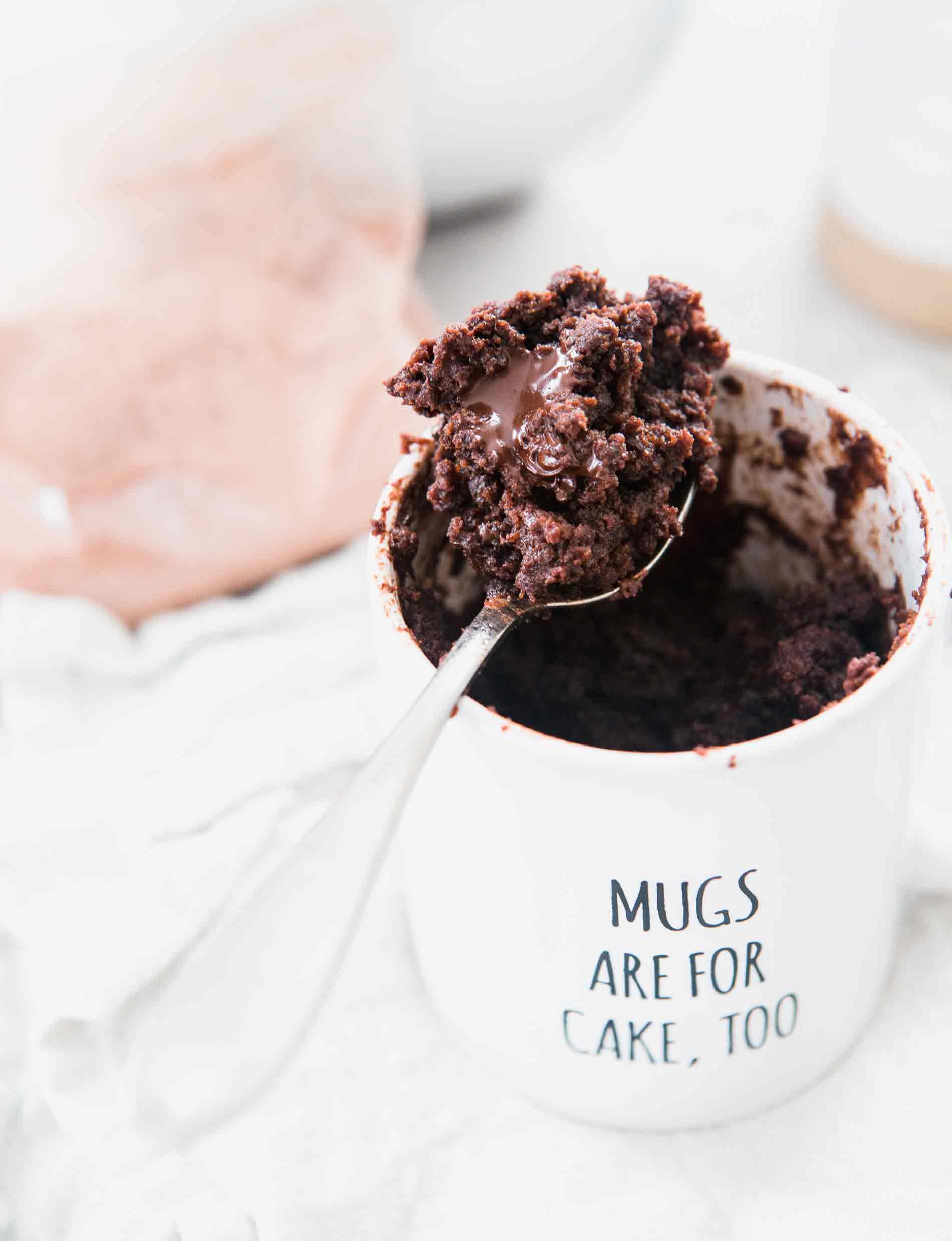 Easy Microwave Chocolate Mug Cake Recipe (with Video)