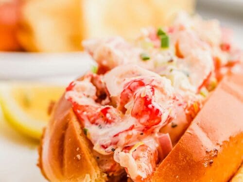 Lobster roll version pain surprise