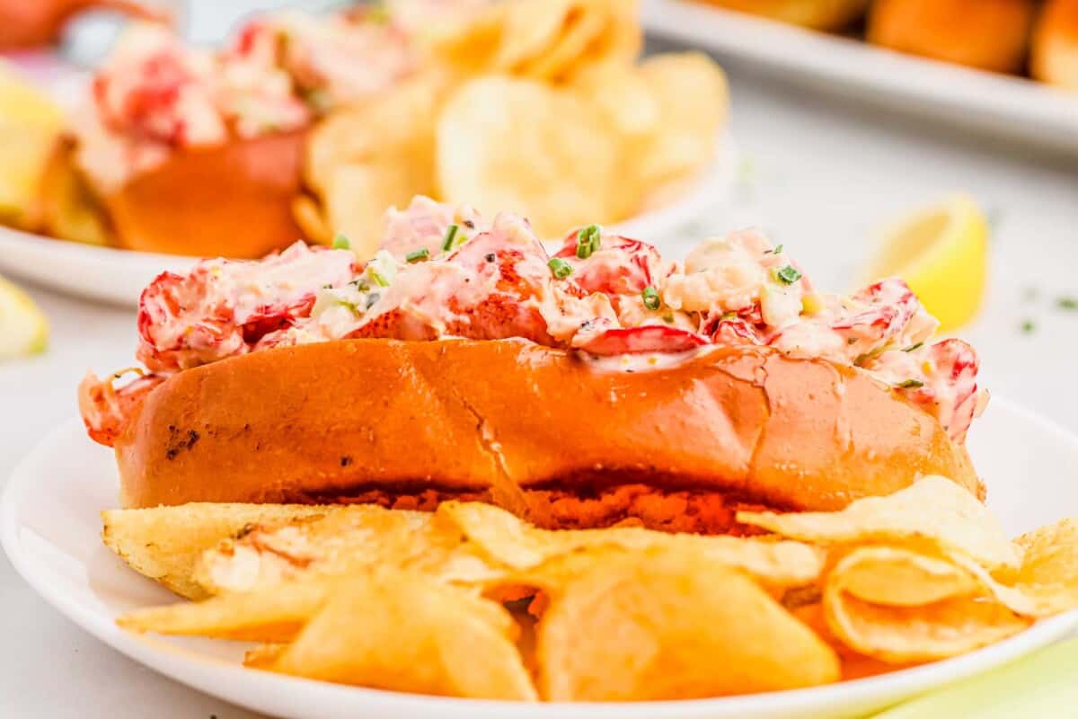 Chips and a lobster roll are ready to be eaten on a white plate. 