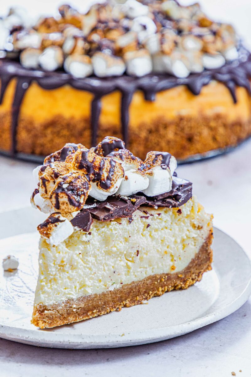 A slice of cheesecake on a white plate is topped with chocolate and toasted marshmallows.
