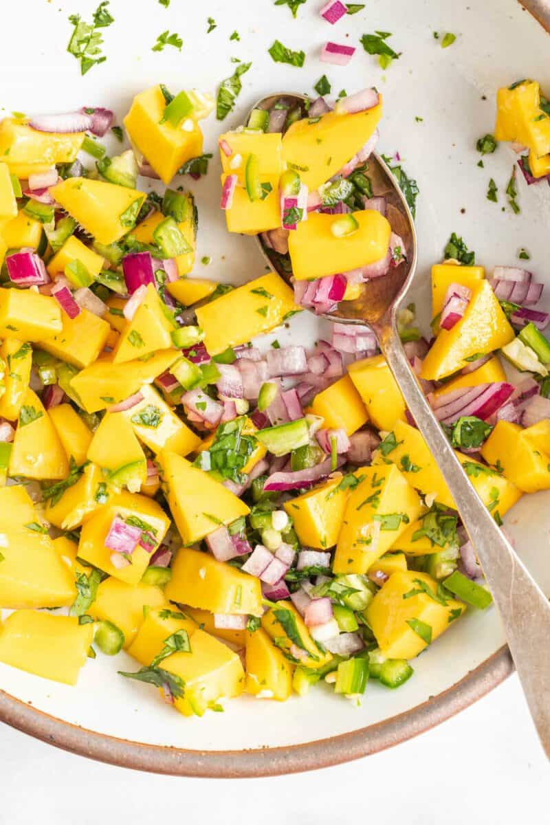 A spoon is scooping a small portion of mango relish from a white bowl. 