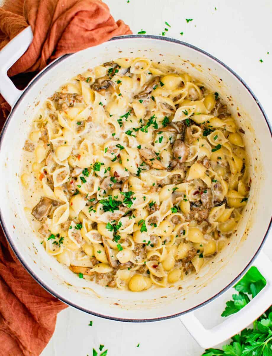 A large white bowl is filled with cheesy beef pasta.