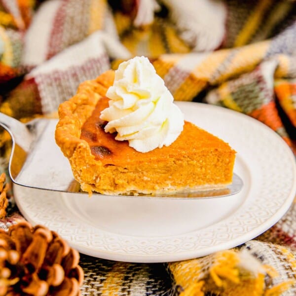 A slice of pumpkin pie is topped with a swirled dollop of whipped cream.