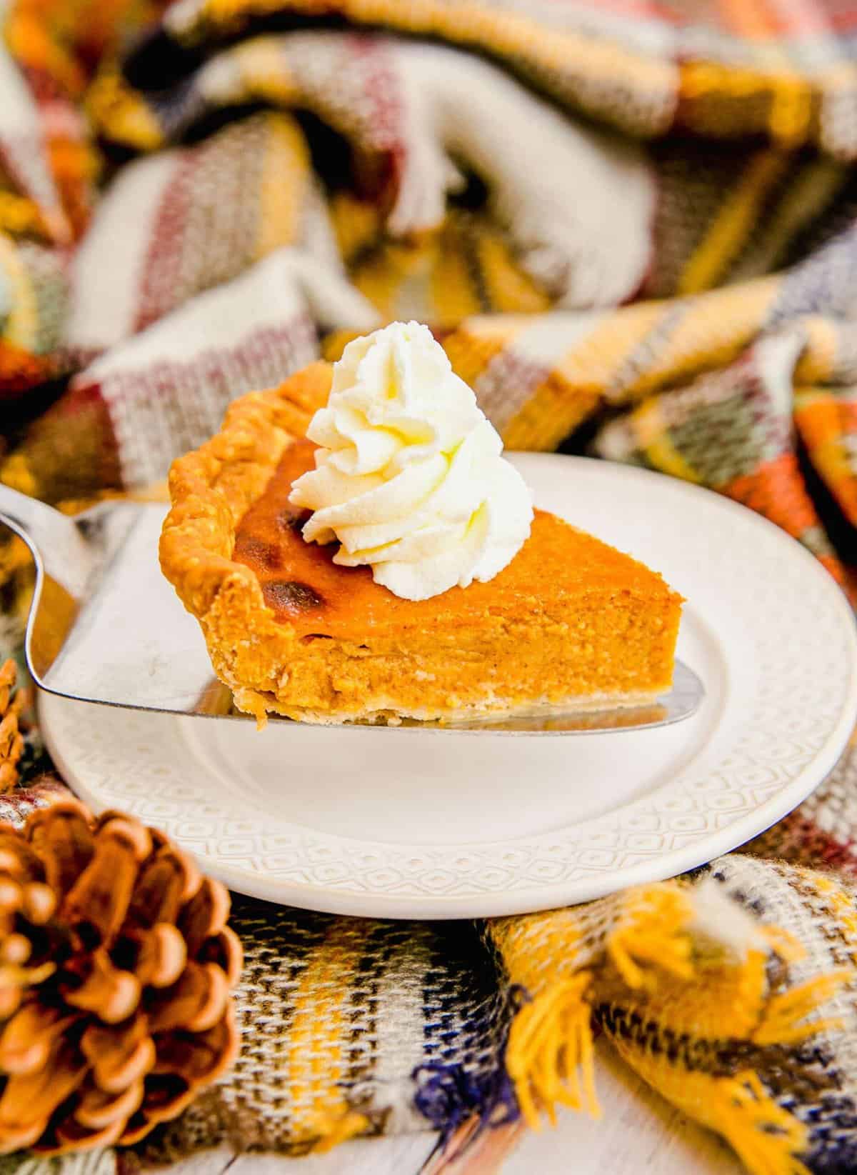 A slice of pumpkin pie is topped with a swirled dollop of whipped cream. 
