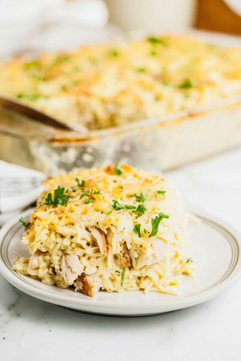 A serving of turkey tetrazzini is presented on a white plate.