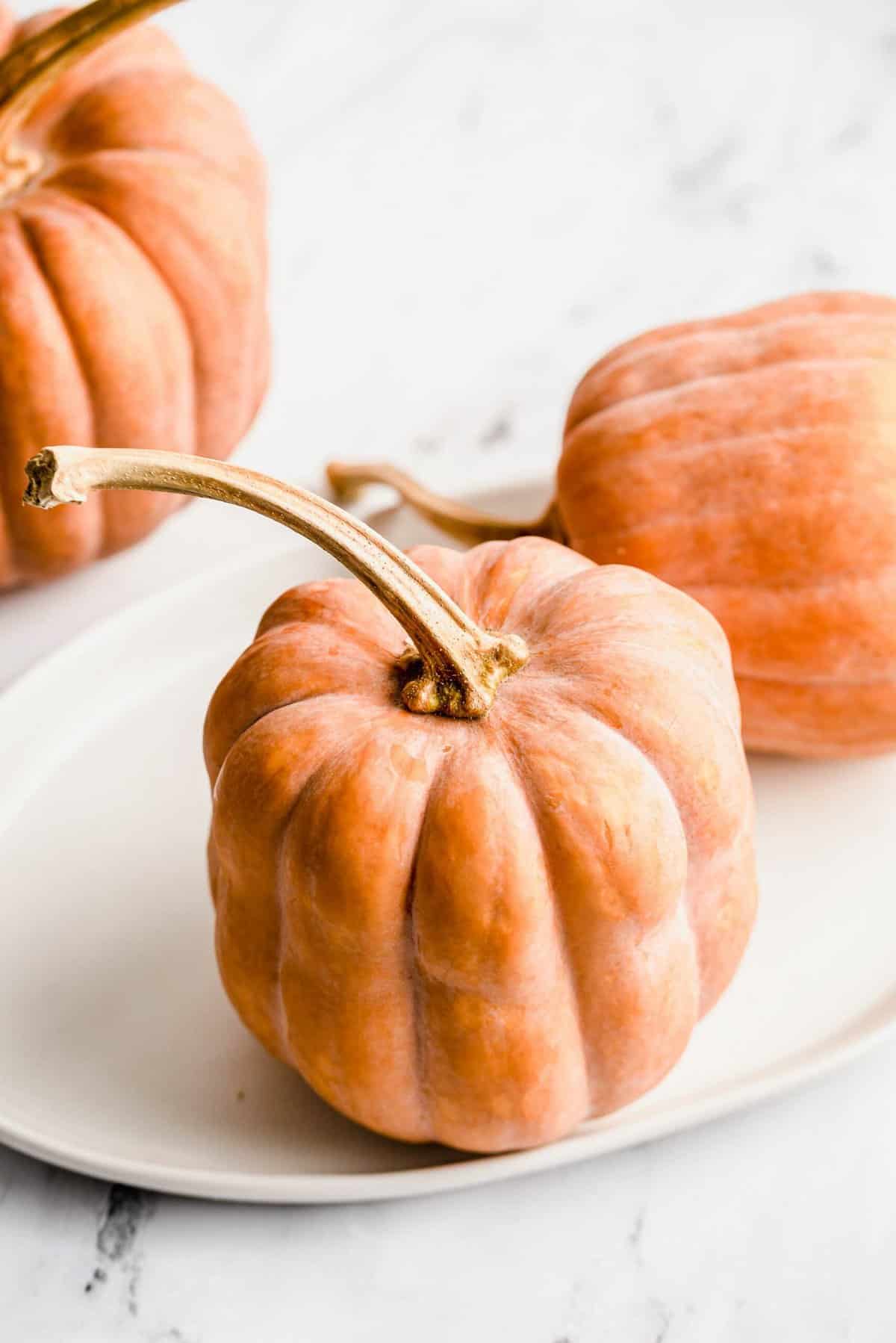 Whole koginut squash on white platter