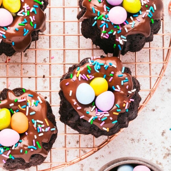 Multiple mini bundt cakes are topped with chocolate ganache, sprinkles, and mini robins eggs.