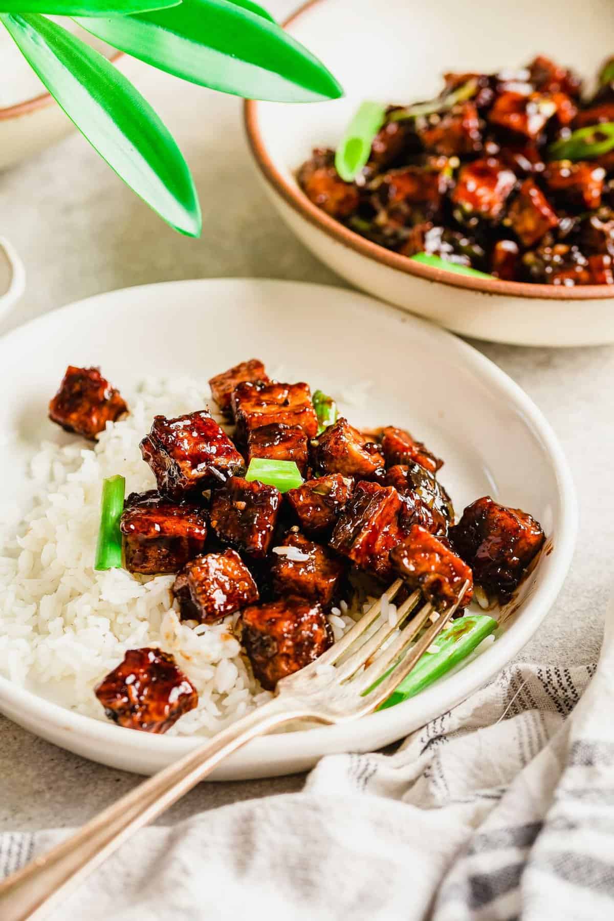 A fork is placed in a white bowl with tofu, rice, and spring onions. 