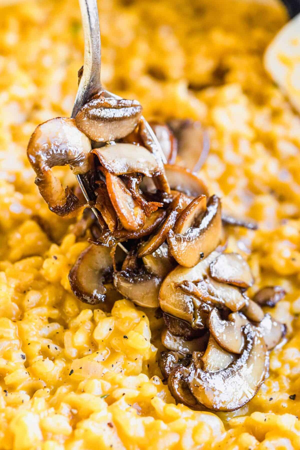 Close up of mushrooms on a fork over risotto
