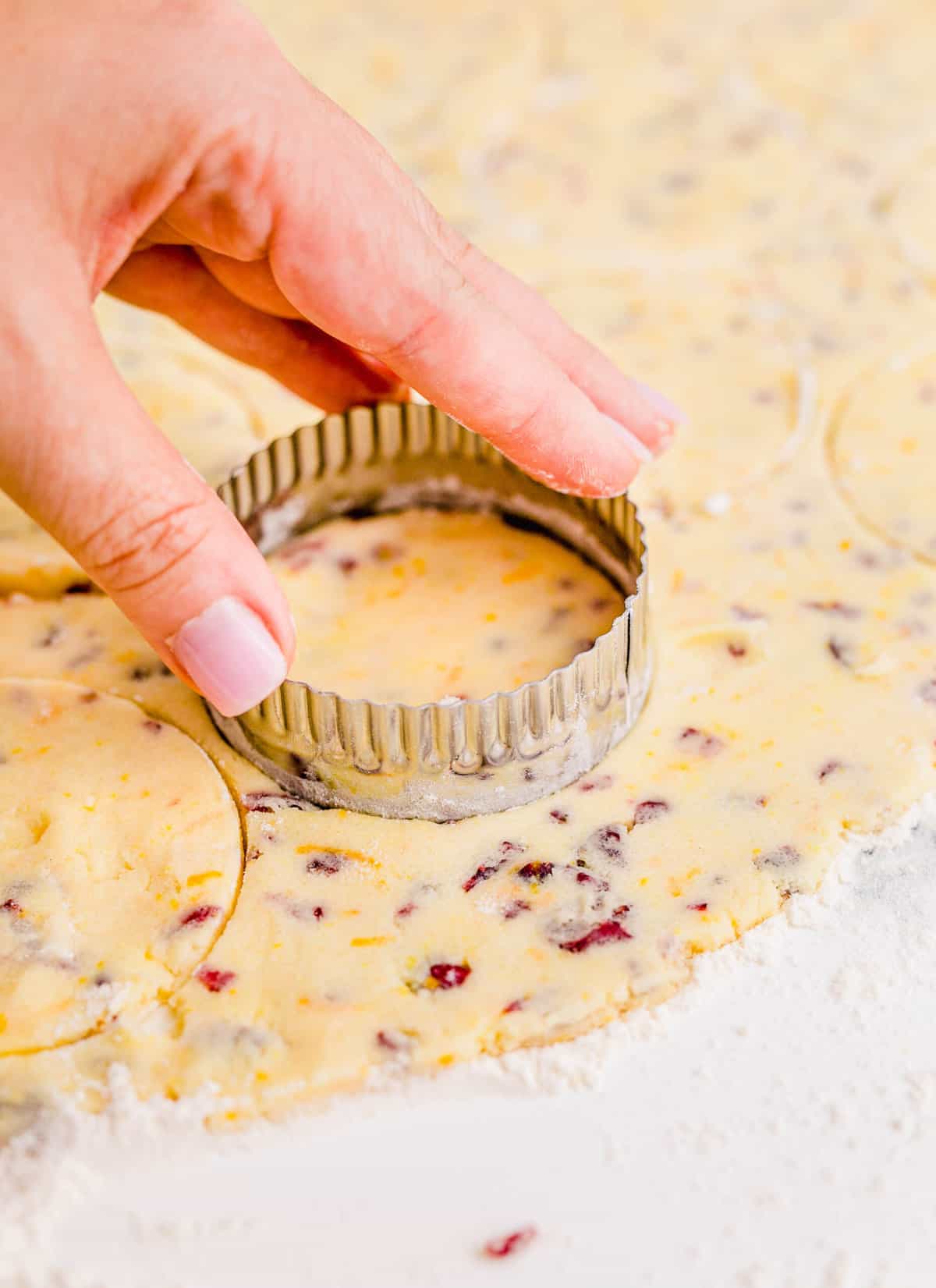 using a round cookie cutter to cut out cranberry orange shortbread cookies