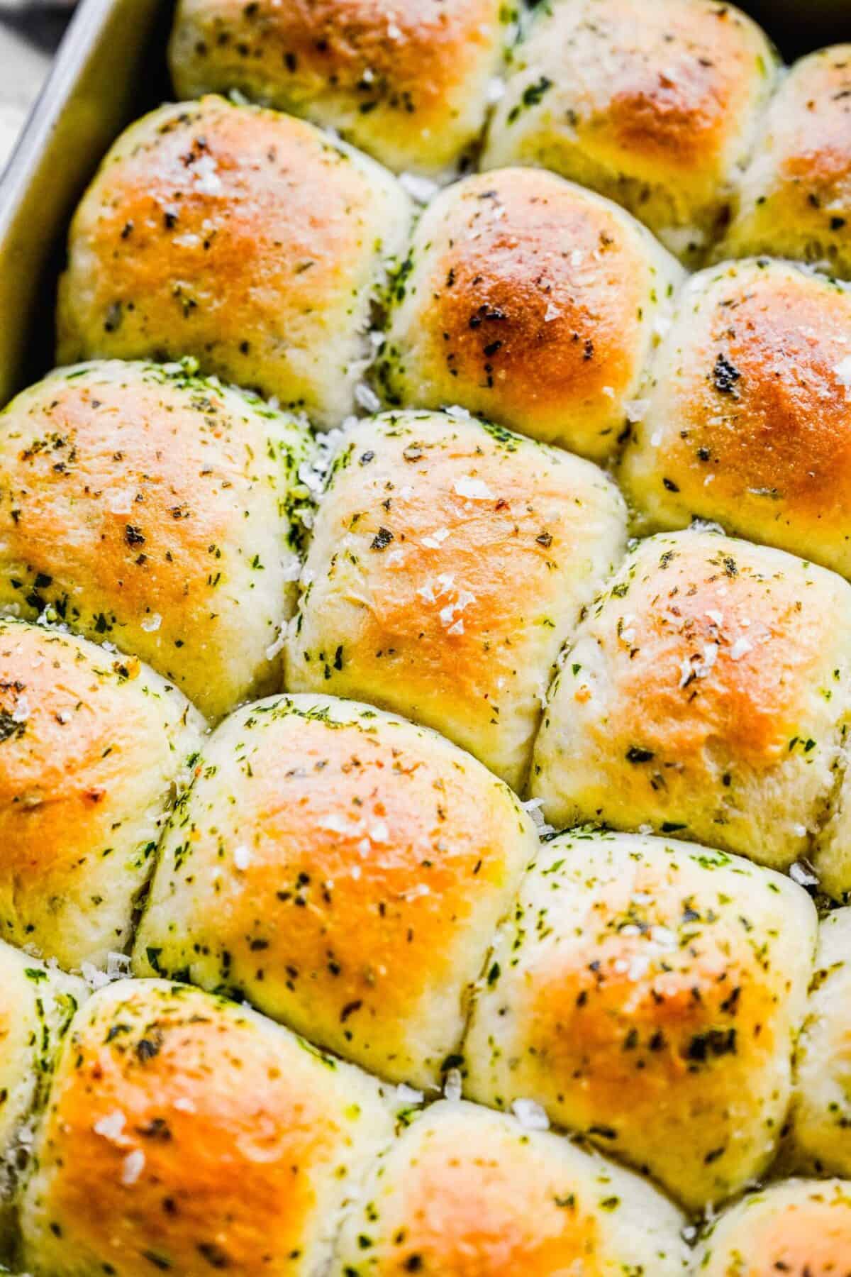 Close up of garlic herb parker house rolls in a pan, topped with garlic and herbs