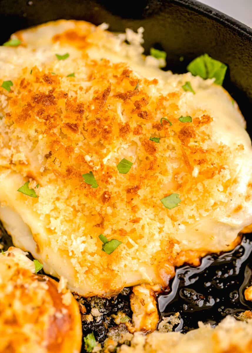 up close image of parmesan crusted chicken with browned panko topping and melted cheese