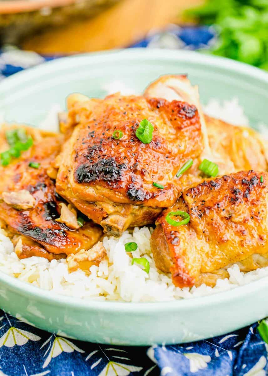 up close image of chicken adobo in a teal plate with a bed of white rice