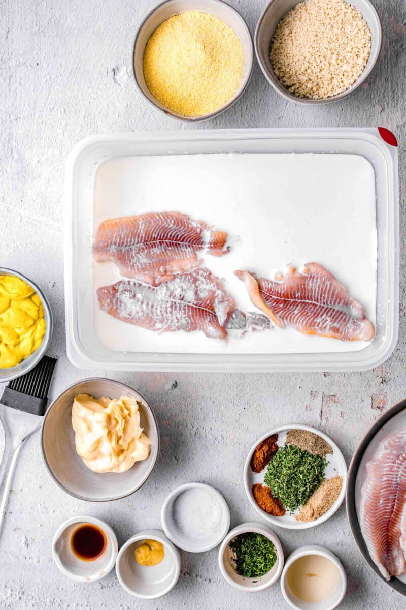 catfish soaking in the milk mixture in a plastic container