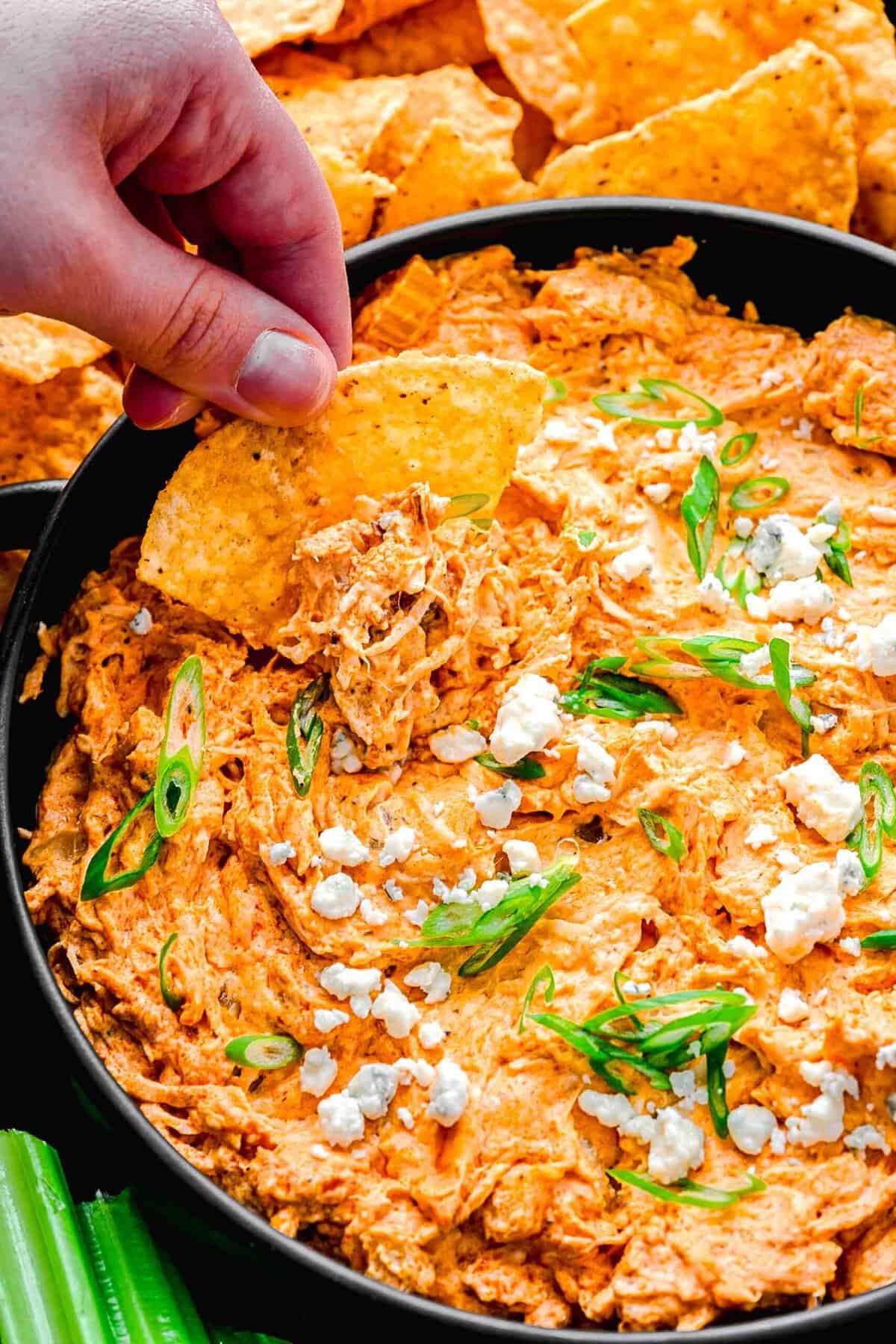 Dipping a tortilla chip into buffalo chicken dip.