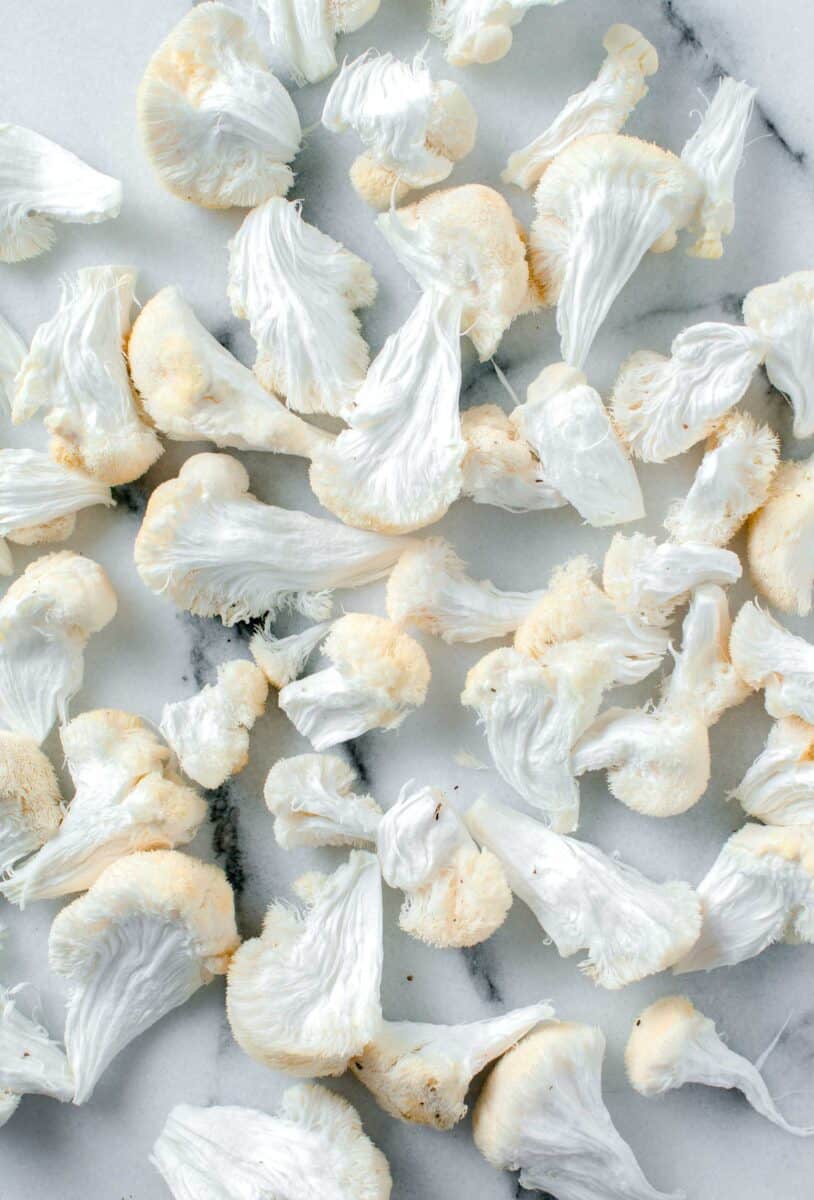 peeled apart lion's mane mushrooms