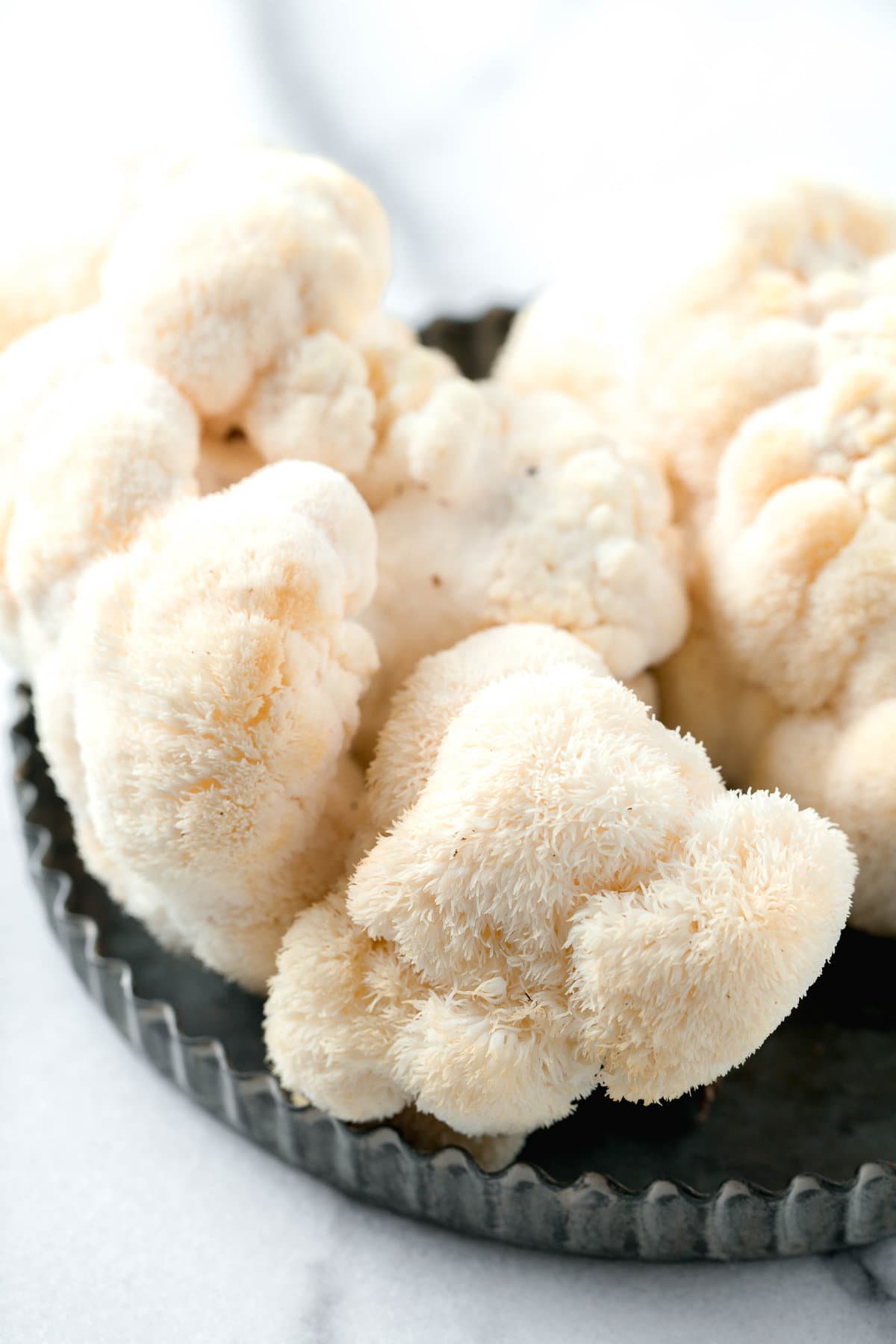 Lion's Mane Mushroom | Table for Two® by Julie Chiou