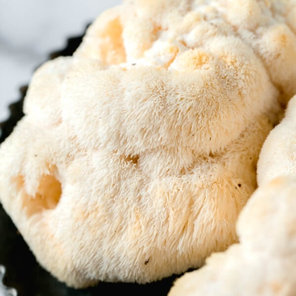 up close image of the detail of lion's mane mushrooms