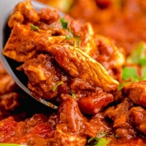 madras curry and the vibrant red color can be seen on a metal spoon